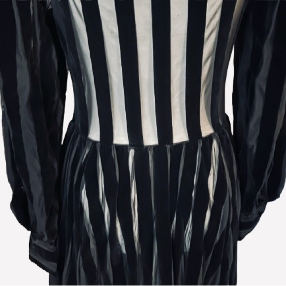 Foxblood Medium Velvet Velour Striped Sheer Gown Peasant Gothic Vintage Maxi - Picture 5 of 16